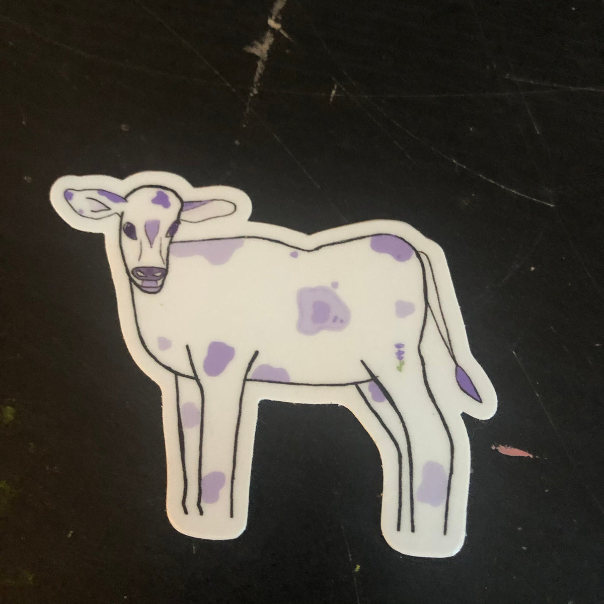 Lavender Cow Purple Sticker