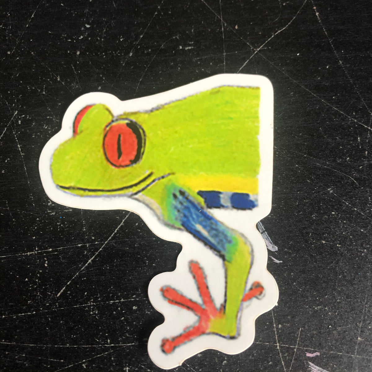 Tree Frog Sticker