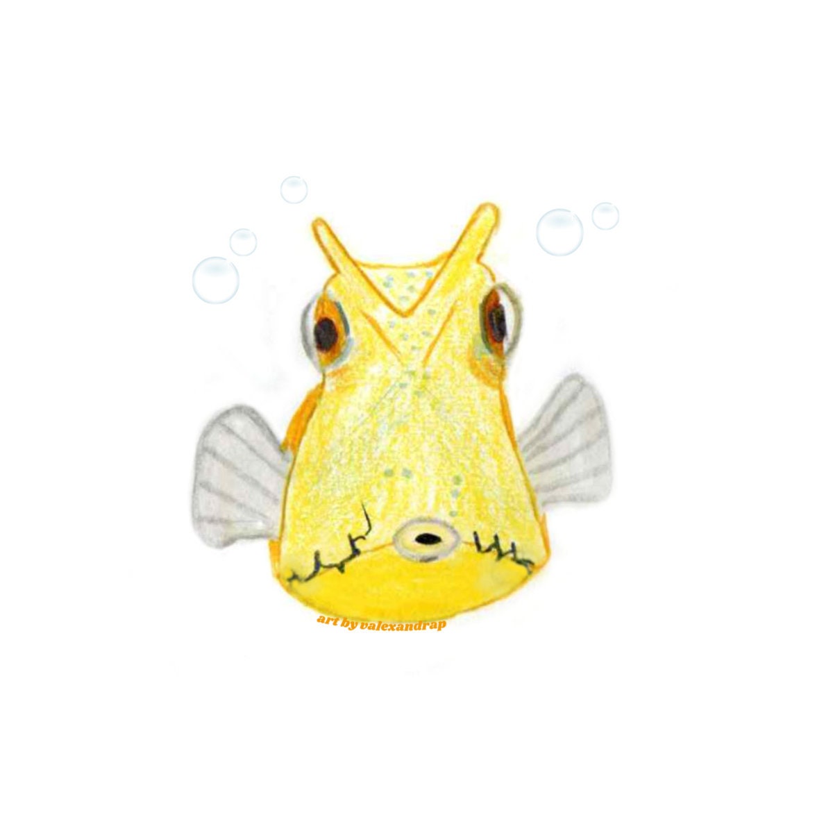 Cow fish Sticker