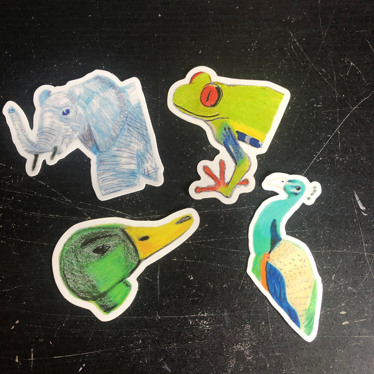 Tree Frog Sticker